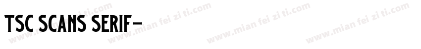 TSC Scans Serif字体转换